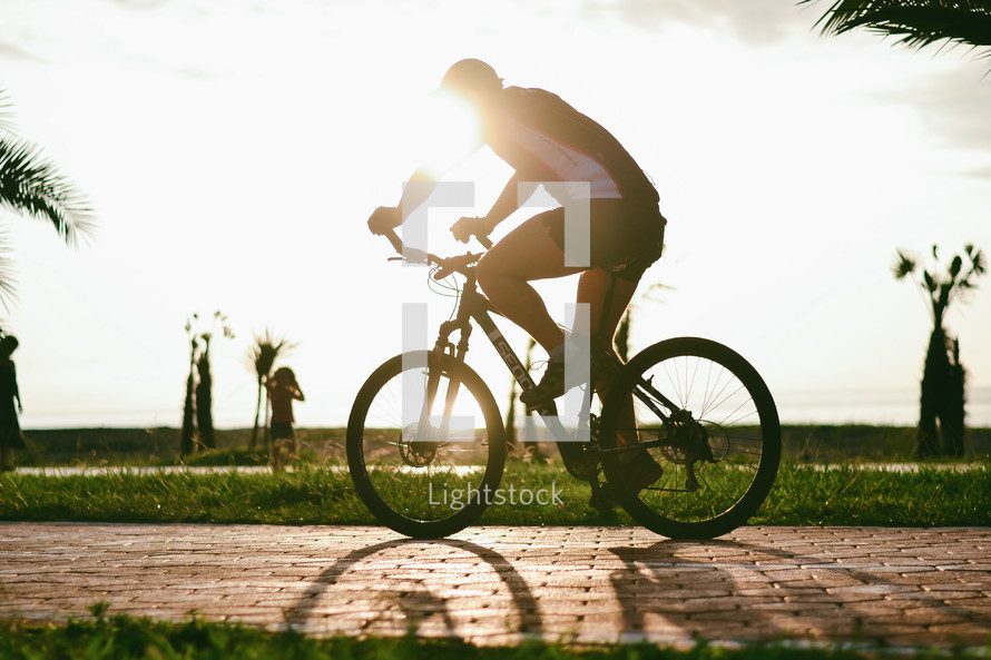 Road Bicycle Racer in Action