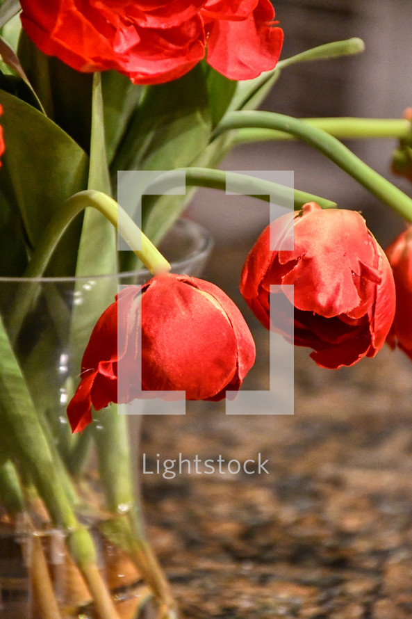vase of red tulips 
