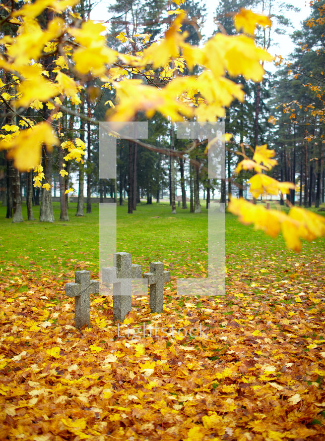 Three tombstone crosses and tree with yellow leaves. Cemetery of German soldiers in Toila, Estonia. Autumn