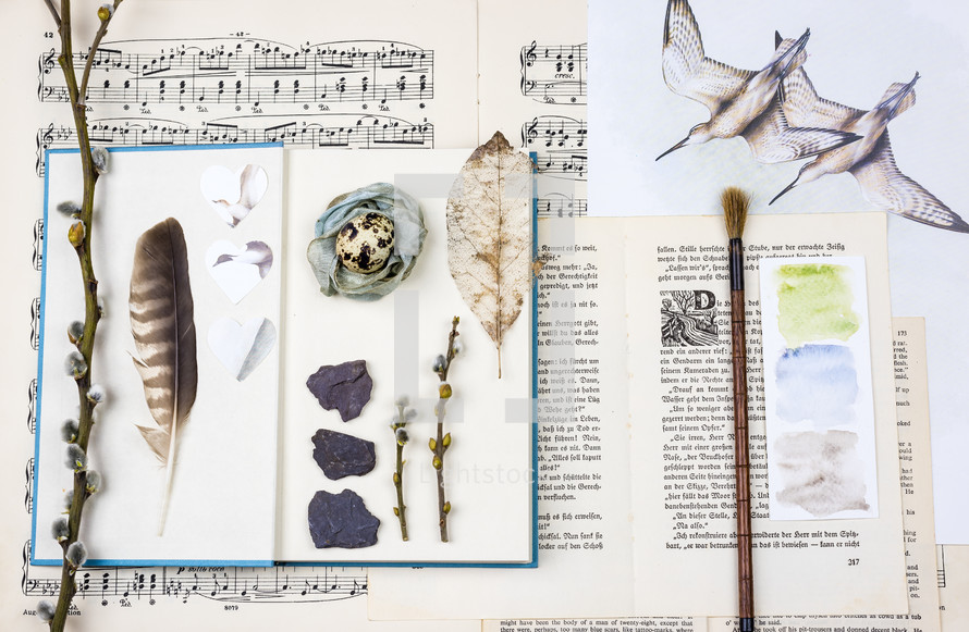 seabird collage, feather, pussy willow, sheet music, collage, collection, trinkets, memories, paint brush, seabird, bird,  journal 