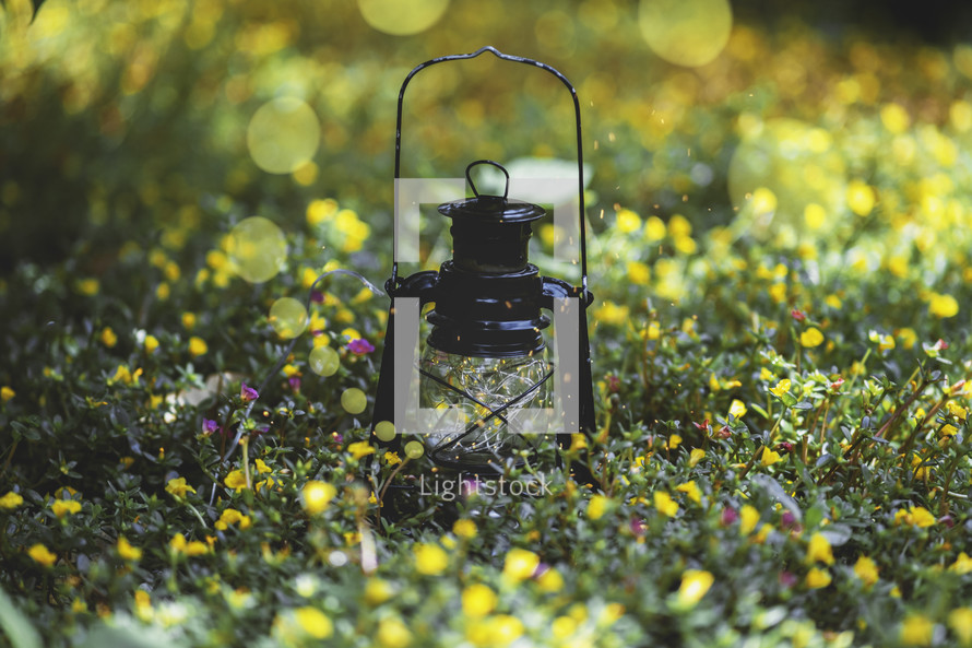 a lantern in grass and wildflowers 