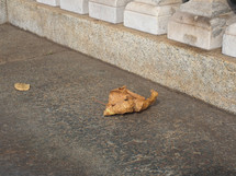 fallen leaf on stone pavement