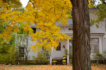 fall leaves in front of an old house 