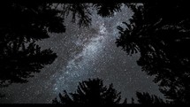 Magic beauty of milky way galaxy light turning in dark forest nature, looking up to universe astronomy time lapse
