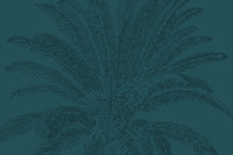 green and teal palm trees 