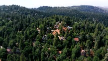 Aerial Shot Panning Across Tree Covered Suburbs in Lake Arrowhead