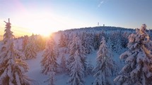 Beautiful colors of sunrise in winter fairy forest, Fly among snowy trees in frozen nature landscape
