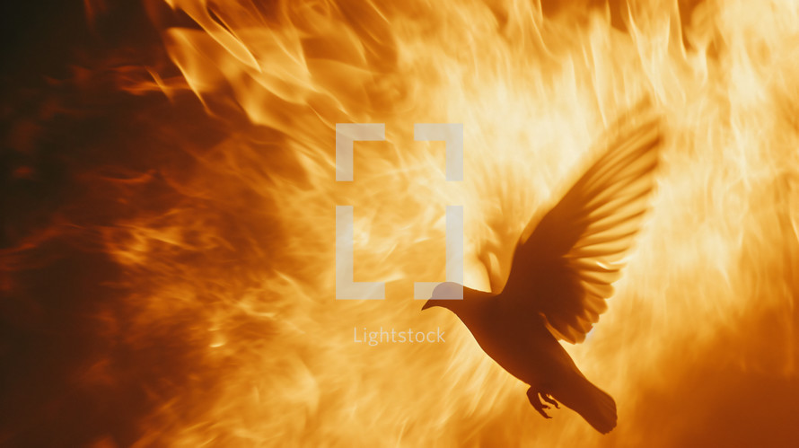 A dove flying with a fiery background
