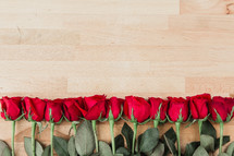 row of red long stem roses 