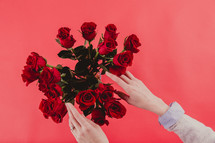 A woman's hands reaching toward a bouquet of red roses.