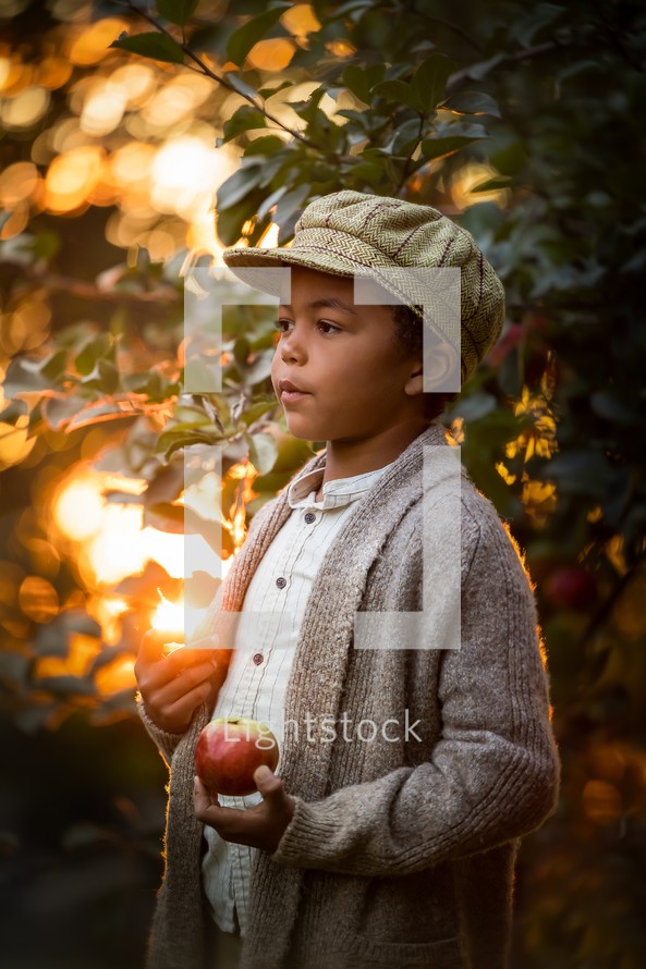 a boy picking Apples 