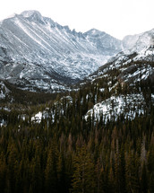 mountain peaks and trees in a snowy forest 