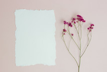 blank paper and pink flowers 