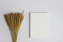 wheat and notebook 