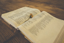 Open Bible with a rosebud in the spin, on a wooden table.
