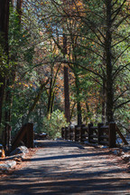 Bridge through autumn trees