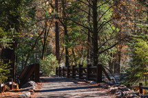 Bridge through autumn trees