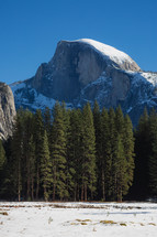 Snowy mountain in Yosemite with trees