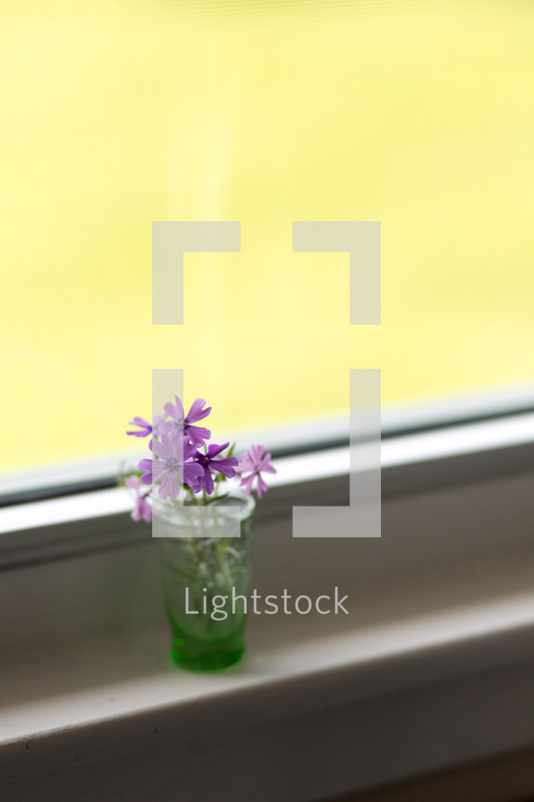 purple flowers in a glass in a window sill 