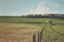 fence line in a pasture 