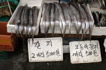 fish, eels, in a market 