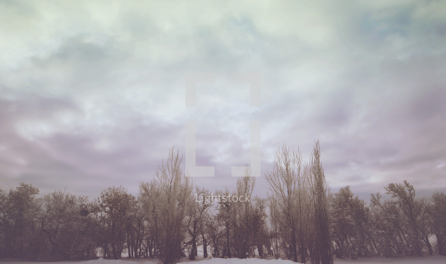 cold and peaceful winter background