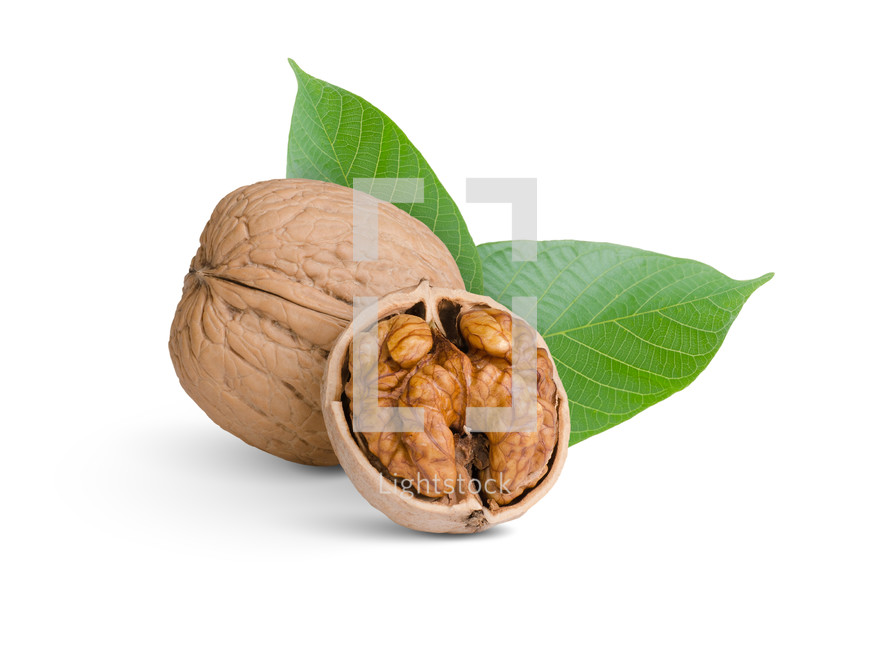 A cracked walnut with leafs