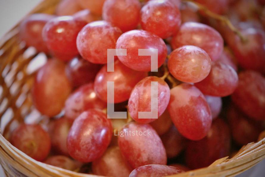 Basket of grapes; closeup