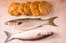 Bread and fish  