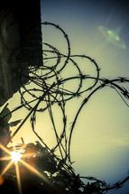 Sun shining through barbed wire