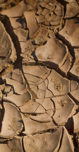 cracked clay earth 