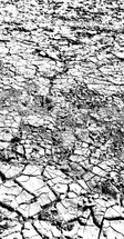 cracked parched clay ground 