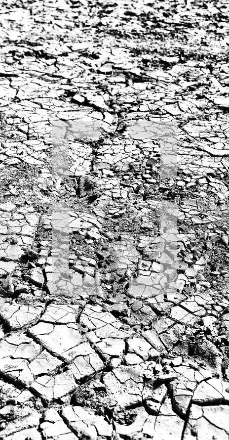 cracked parched clay ground 