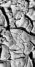 cracks in clay soil 