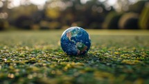 Earth globe on grassy field, environmental conservation and sustainability concept. Protecting our fragile planet from climate change and pollution