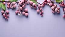  Pink Berries on Purple Background