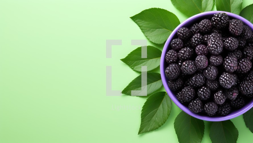 Blackberries in a purple bowl with green leaves on a green background