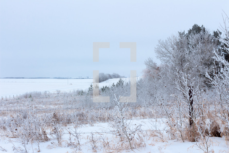 rural winter scene 