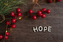 red berries and fairy lights on a wood background and word hope 
