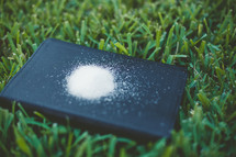 salt on a Bible in the grass 