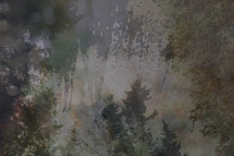 layered forest background