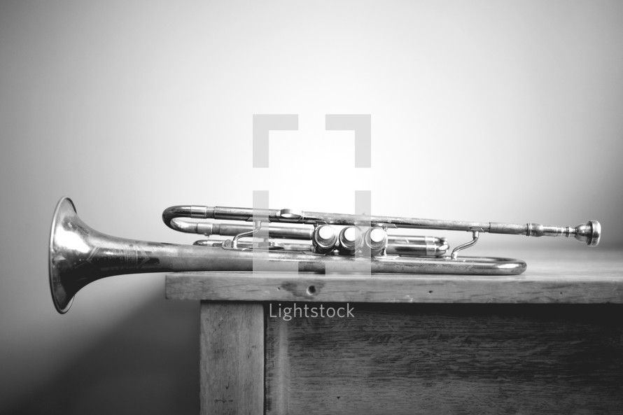 a trumpet laying on table (black and white version)
