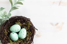 birds eggs in a nest on a white wood background 