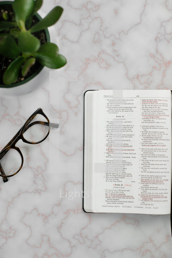 reading glasses, open Bible, and potted plant 