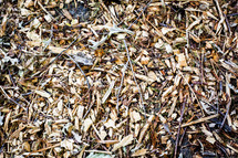 mulch on the ground 