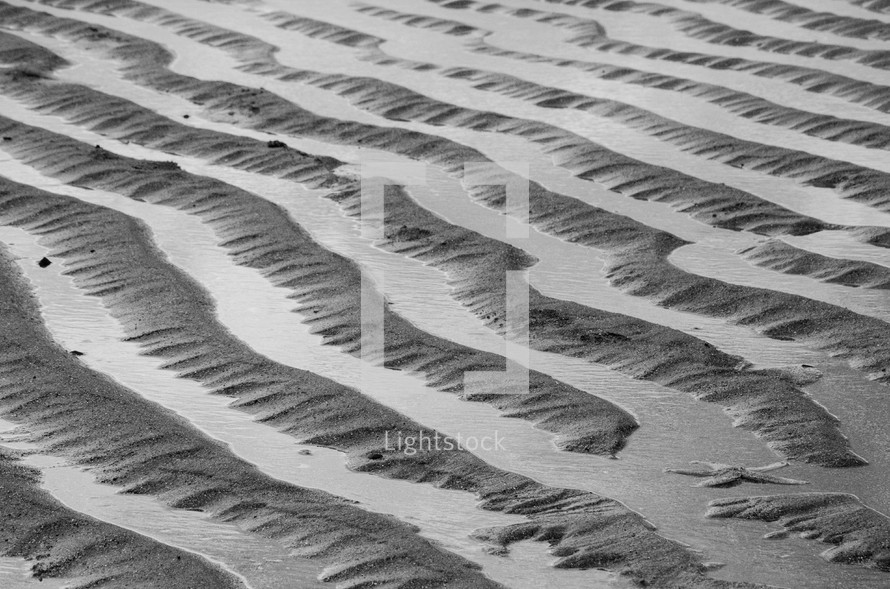 ripples in sand on a beach 