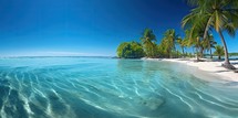  Tropical beach with clear blue water and palm trees under a bright sky