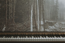 winter trees and piano keys