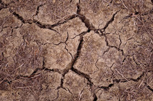 dry ground in the nature, 