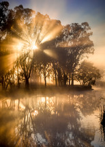 morning sunlight over a pond 